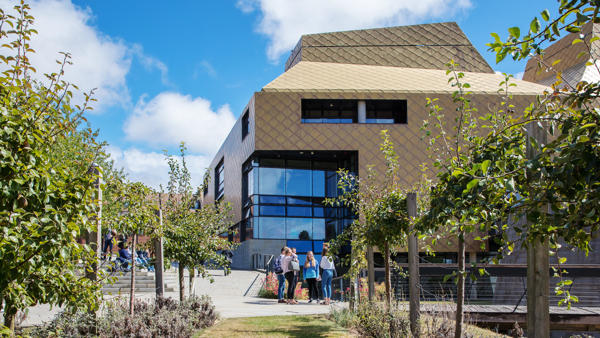 Homepage Banner Hive