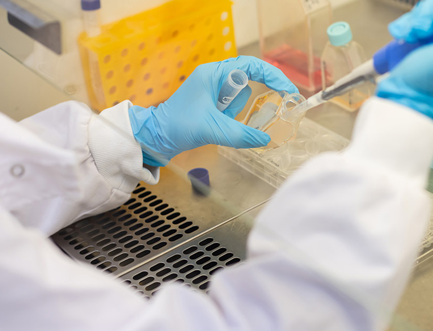 A person working in the lab