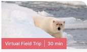 Virtual field trip