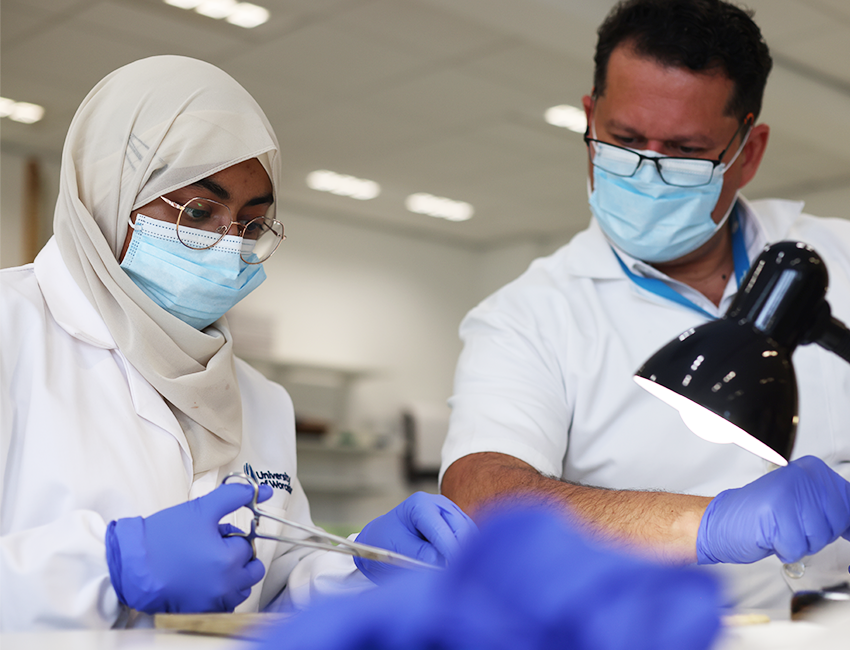 Student working in a lab with their lecturer providing feedback