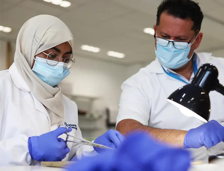 Student working in a lab with their lecturer providing feedback