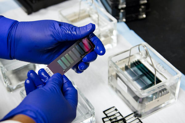Forensic Testing