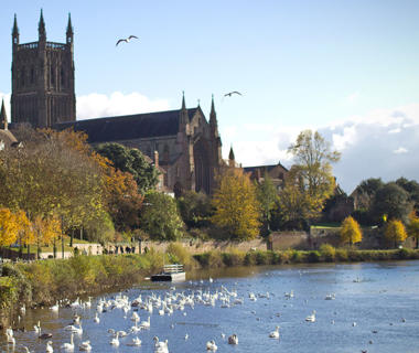 A crowd of people walking by a line of trees along the banks of the River Severn, against a backdrop of Worcester Cathedral.