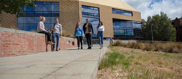 A group of students chatting and walking along a path by the Hive library. Two students are chatting while sitting on a wall.