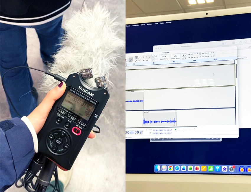 Audio recorder and editing software