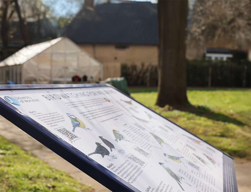 Students walking outside our St John's Campus main reception