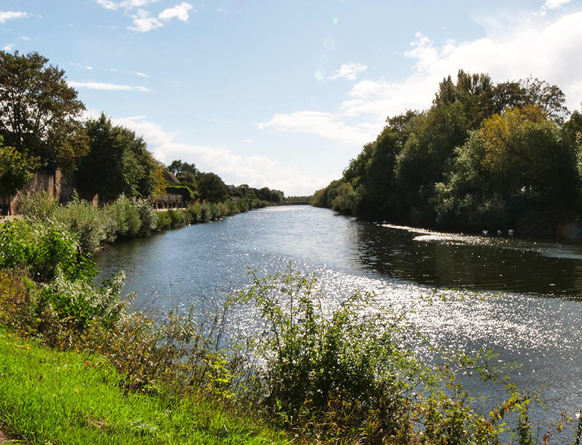 The river severn with a grassy river bank to the left and trees on either side of the river
