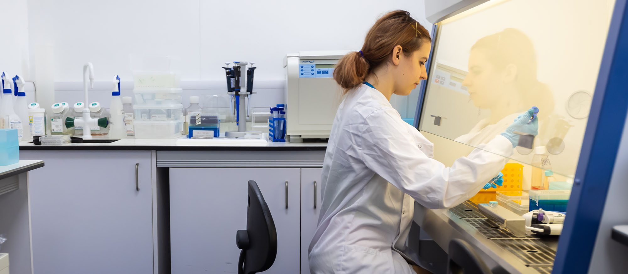 a student is working in a lab