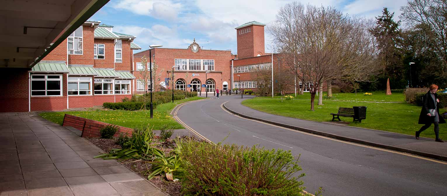 No alt text provided