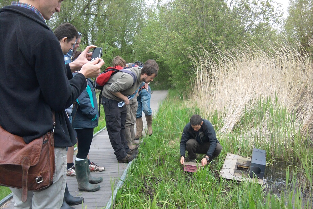 students investigating a pool at the side of a path