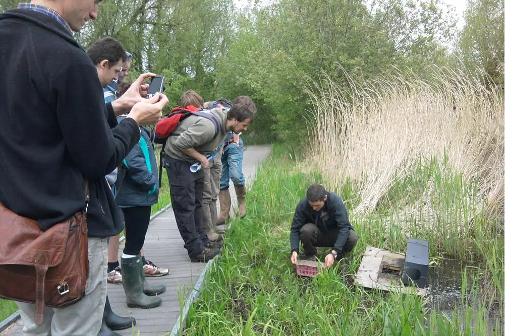 students investigating a pool at the side of a path