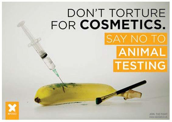 Graphic design degree course student artwork - "Don't torture for cosmetics" - banana with needle and make-up brush