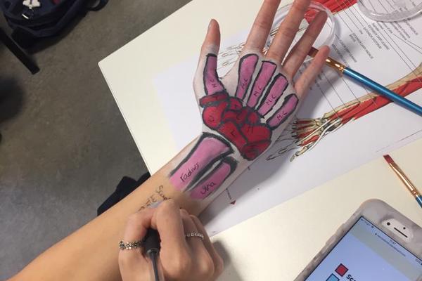 An Occupational Therapy student has painted the muscles of the hand on the inside of their palm as an activity on the occupational therapy degree.