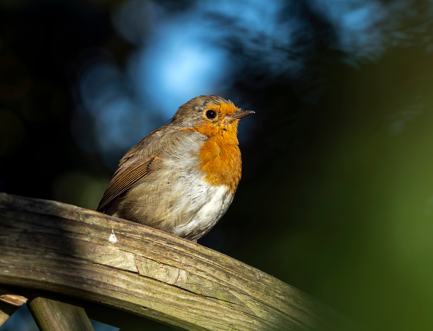 Students walking outside our St John's Campus main reception