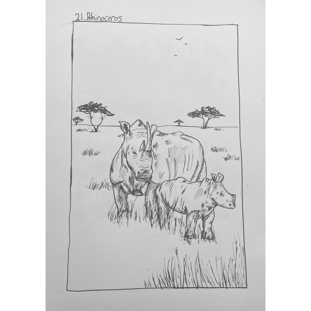 An sketch of two rhinoceros on the savannah planes