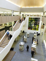 elevated view of the steps and ground floor of the hive library