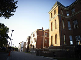 city campus buildings on the right and branches filled with leaves on the left