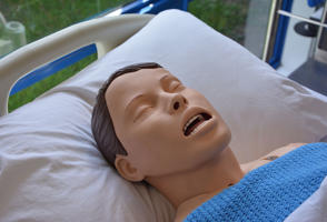 head and shoulders of a synthetic patient on a bed