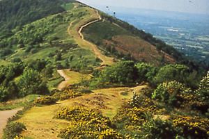 view of the top of the malvern hills