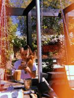 waylands yard valda