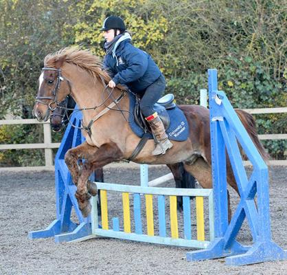 woman on a brown horse jumping a blue obstacle
