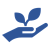 MDEM4004 advanced dementia1