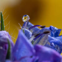 Creative Chapters  - student photo 3