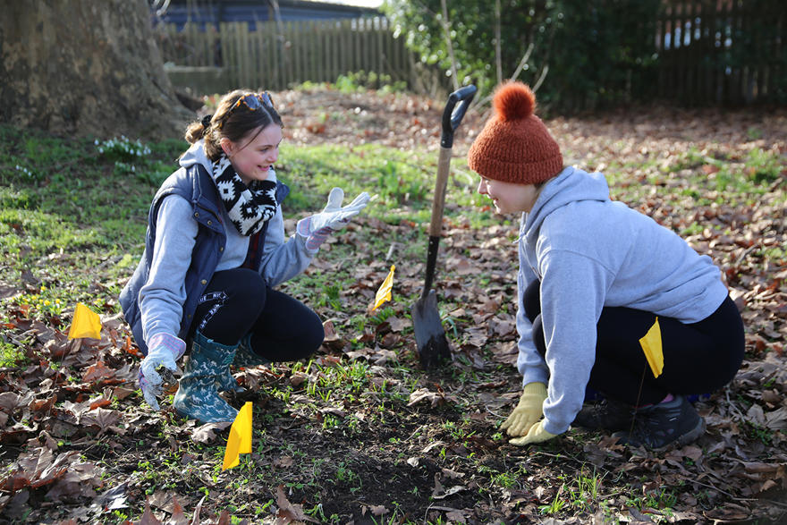 Bulb planting on campus 2023 2