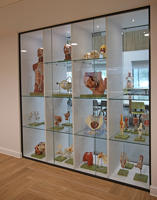 EGA anatomy models (1)