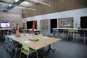 EGA anatomy suite (1)