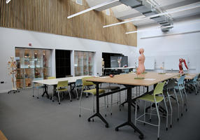 EGA anatomy suite (2)