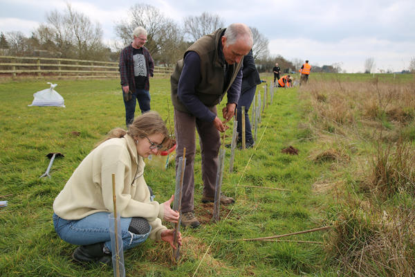 Lakeside Campus hedgerow project 1