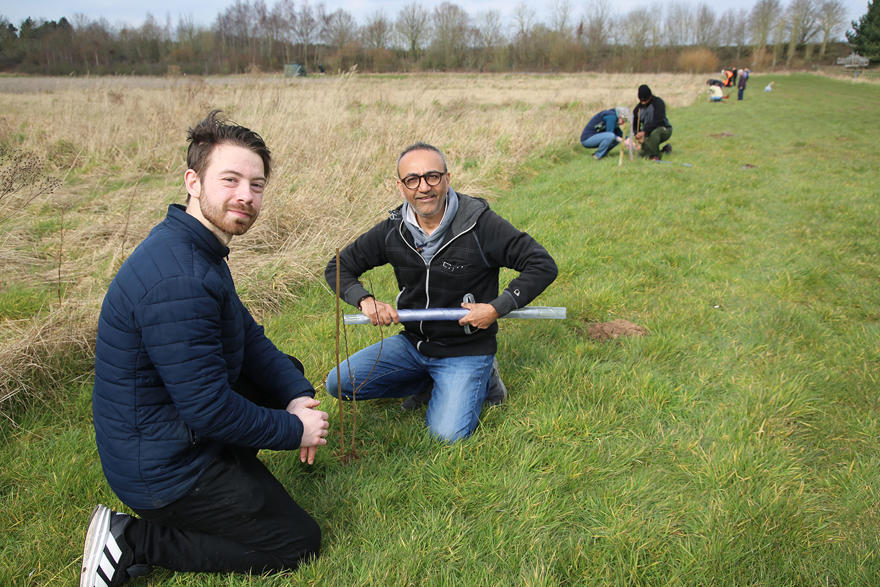 Lakeside Campus hedgerow project 3