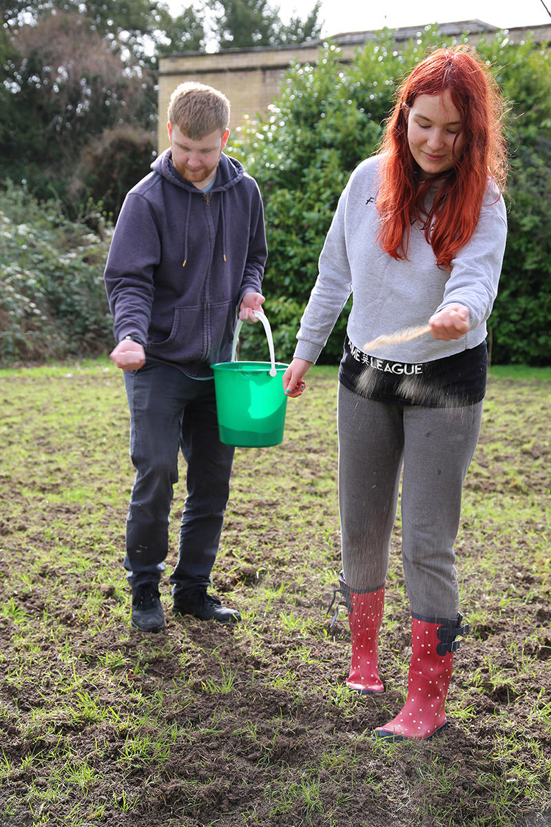 Wildflower planting 2023 2