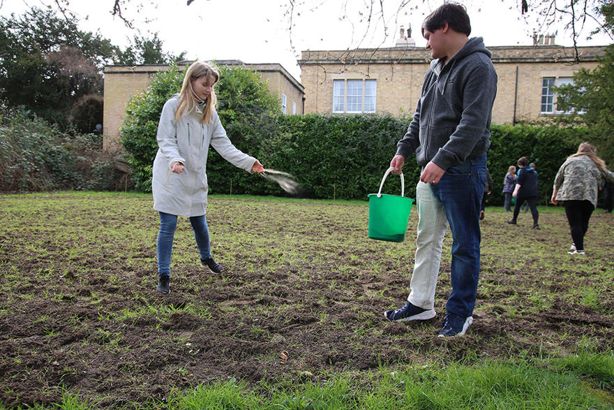 Wildflower planting 2023 3