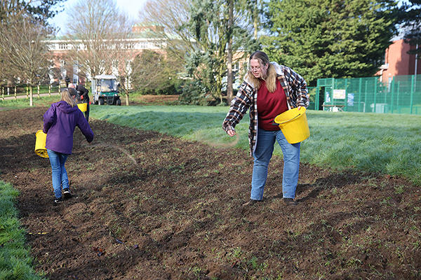 Wildflower sowing 2