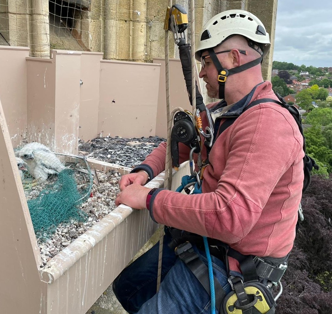 University of Worcester logo on a light blue background
