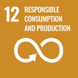The SDG logo for 12. Responsible Consumption and Production