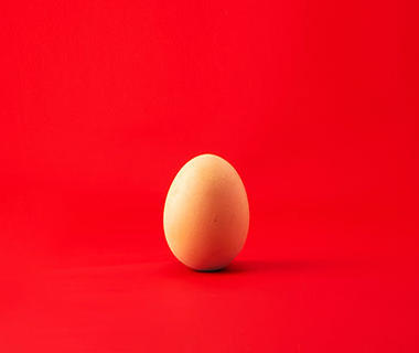 A chicken's egg is standing up against a red background