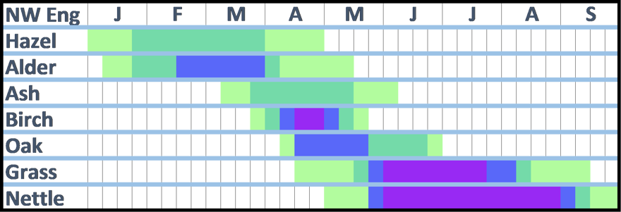 A pollen calendar for Northwest England. The information shown in this diagram is written in the text that accompanies it.