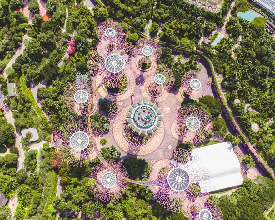 Aerial view of gardens and walkways