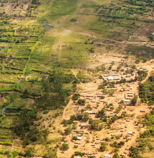 Wetland agriculture in Malawi