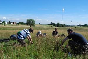 Wildlife set to bloom article