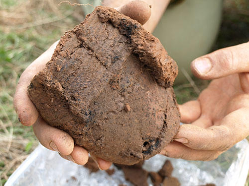A recently discovered pot still covered in dirt from an archaeological dig.