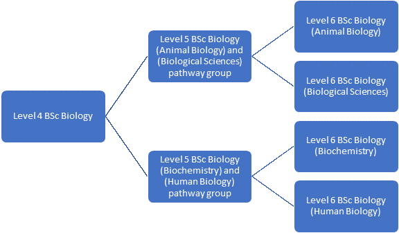 Biology course structure
