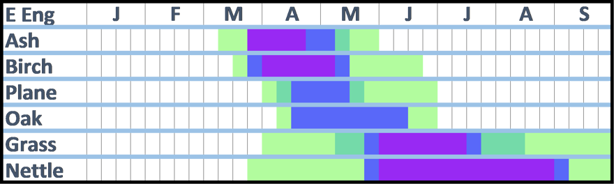 A pollen calendar for East-England. The information for this diagram is contained in the text that accompanies it.