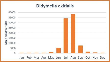 fungal spores didymella exitialis graph