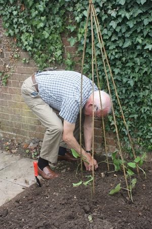 Green Dementia Care