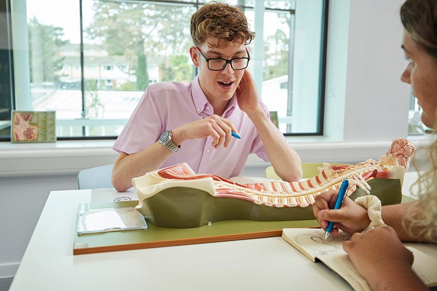 Students studying in the University of Worcester Medical School
