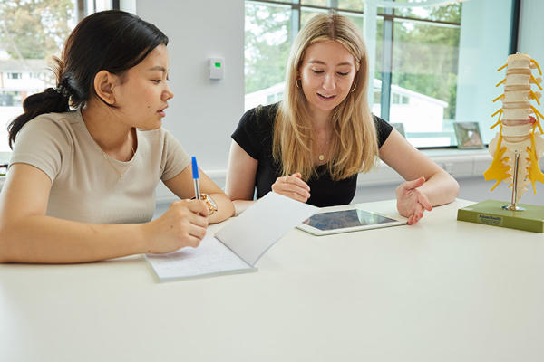 Students studying in the University of Worcester Medical School